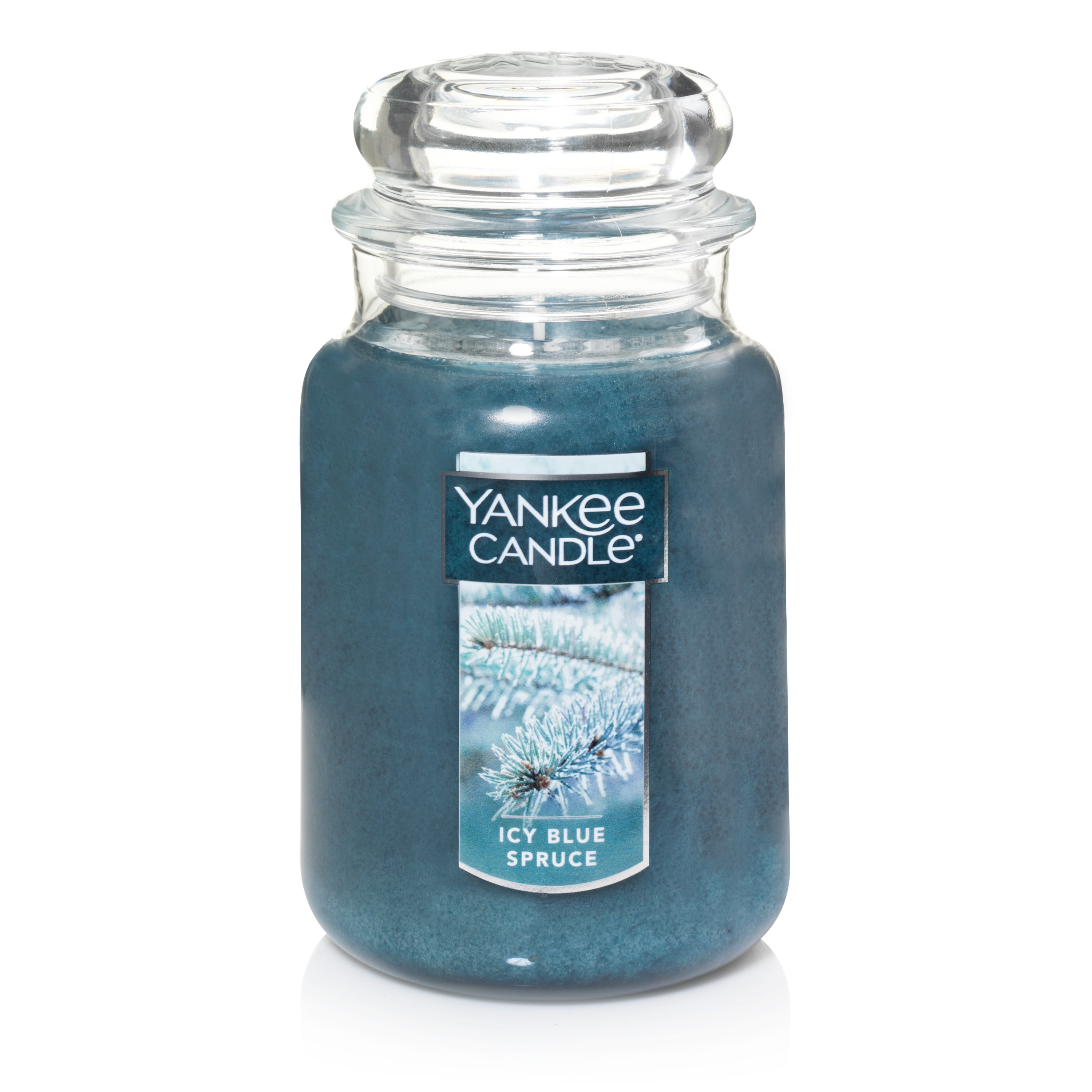 Icy Blue SpruceYANKEE CANDLE tea lights Maison Bougies, chauffeplats