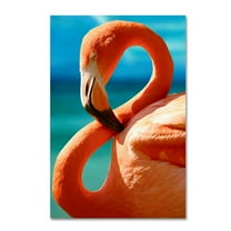 Trademark Fine Art 'Flamingo S' Canvas Art by Mike Jones Photo
