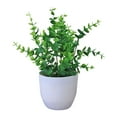 thumbnail image 1 of Felwors Petit Pot Bonsaï Décoration de Bureau pour Salon, 1 of 7