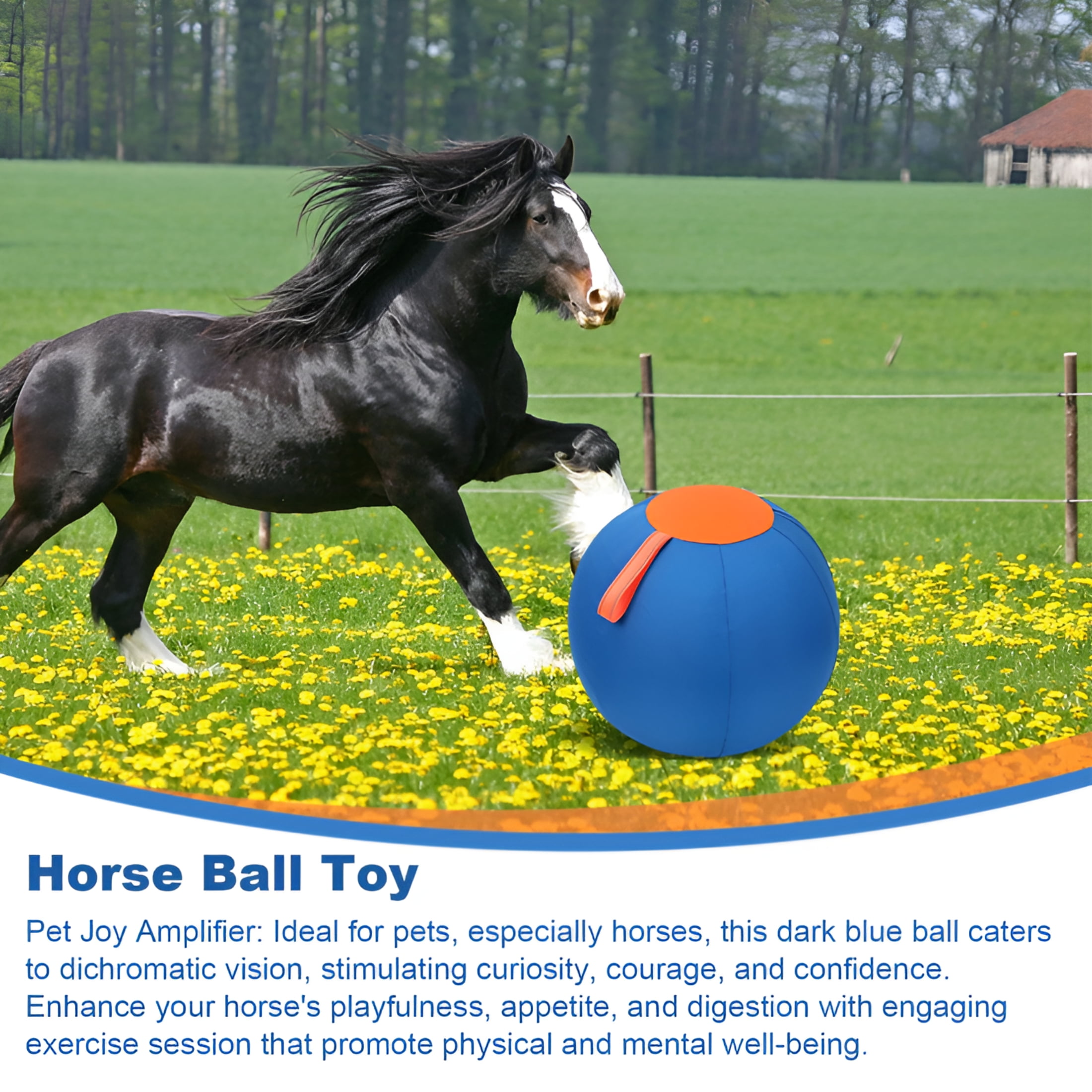 BESTSKY Horse Herding Ball - 25" Cover with Straps,Australian Shepherd,Cattle Dogs,Collie & Herding Dog,Giant Jolly Ball for Play