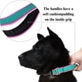 thumbnail image 5 of Waterproof PVC Dog Collar, Purple & Lime Green, Size S (15"-19.69" Neck), Adjustable with Quick Release Buckle & Heavy Duty D-Ring, 5 of 8