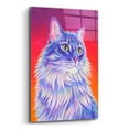 thumbnail image 2 of Epic Art 'Longhaired Purple Tabby Cat' by Rebecca Wang Art, Acrylic Glass Wall Art, 12"x16", 2 of 8