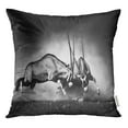 thumbnail image 1 of RYLABLUE Black Gemsbok Dual Artistic Processing White Fight Wildlife Throw Pillowcase Cushion Case Cover, 1 of 1
