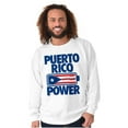 thumbnail image 5 of Puerto Rico Power PR Flag Pride Sweatshirt for Men or Women Brisco Brands S, 5 of 5