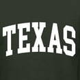 thumbnail image 5 of Wild Bobby State of Texas College Style Men Premium Tri Blend Tee, 5 of 5