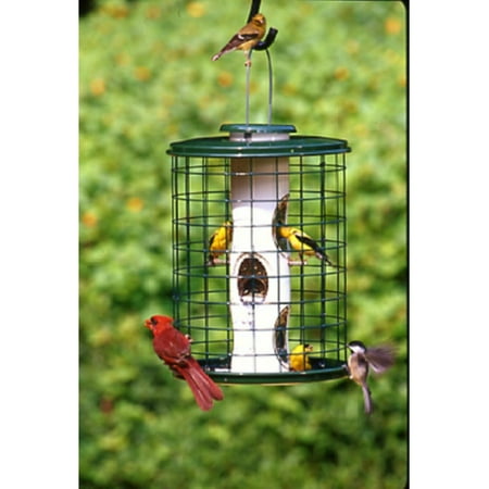 Vari-Crafts  impure tainted Seed Bird Feeder - Walmart.com