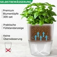 thumbnail image 5 of 6 Pack Self Watering Pots for Indoor Plants, Self-Watering Planters Box Transparent,Plastic Planter Pot for Spider Plant, Orchid for Home & Office. African Violet Pot for Outdoor Plants (6”), 5 of 7
