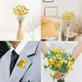 thumbnail image 3 of 30Pcs Natural Dried Flowers Craspedia Billy Balls Flowers Billy Buttons Floral Bouquet for Flower Arrangements Wedding Home Tall Vase Decor Yellow, 3 of 4