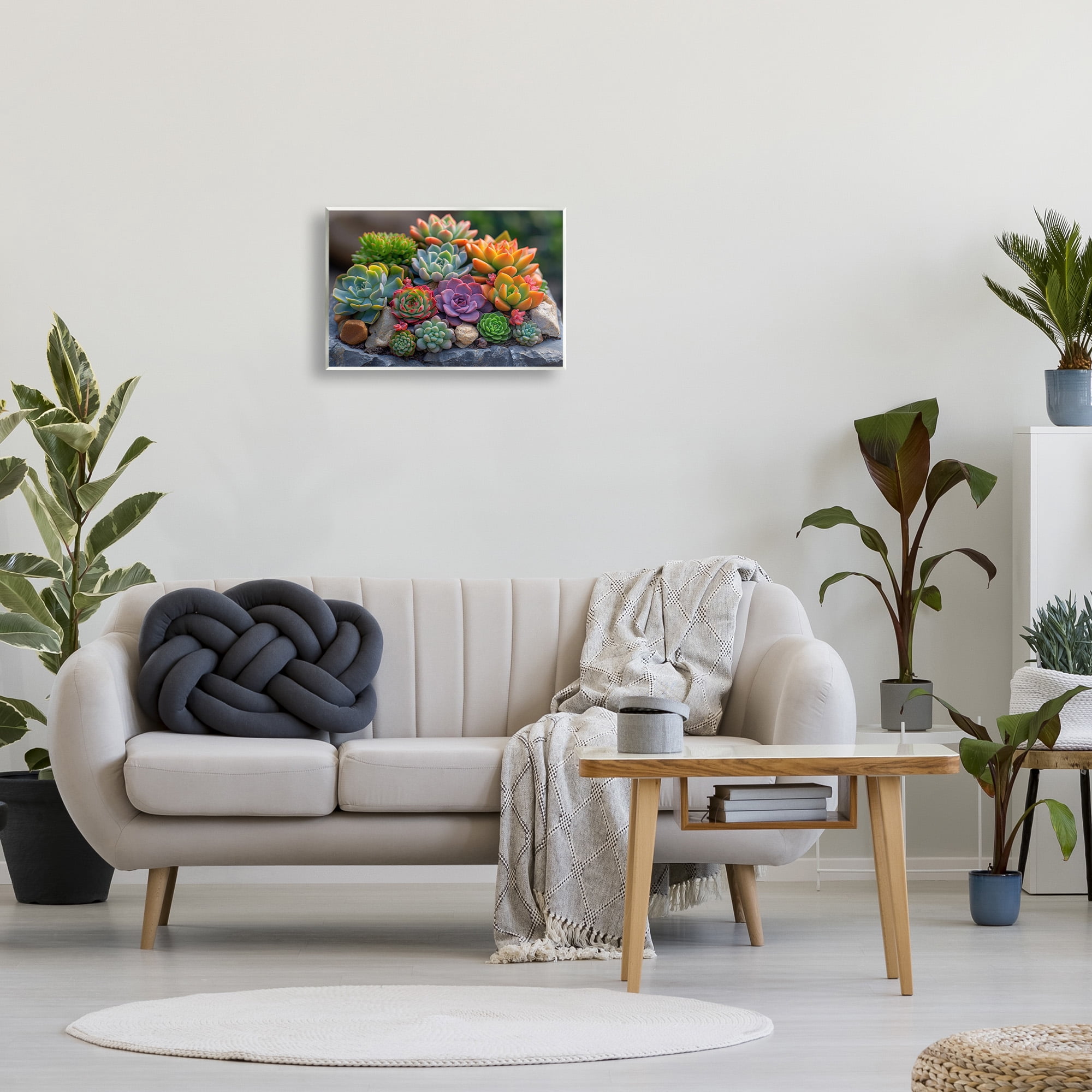 Stupell Industries Varied Succulents Photography Botanical & Floral Photography Unframed Art Print Wall Art, 19 x 13