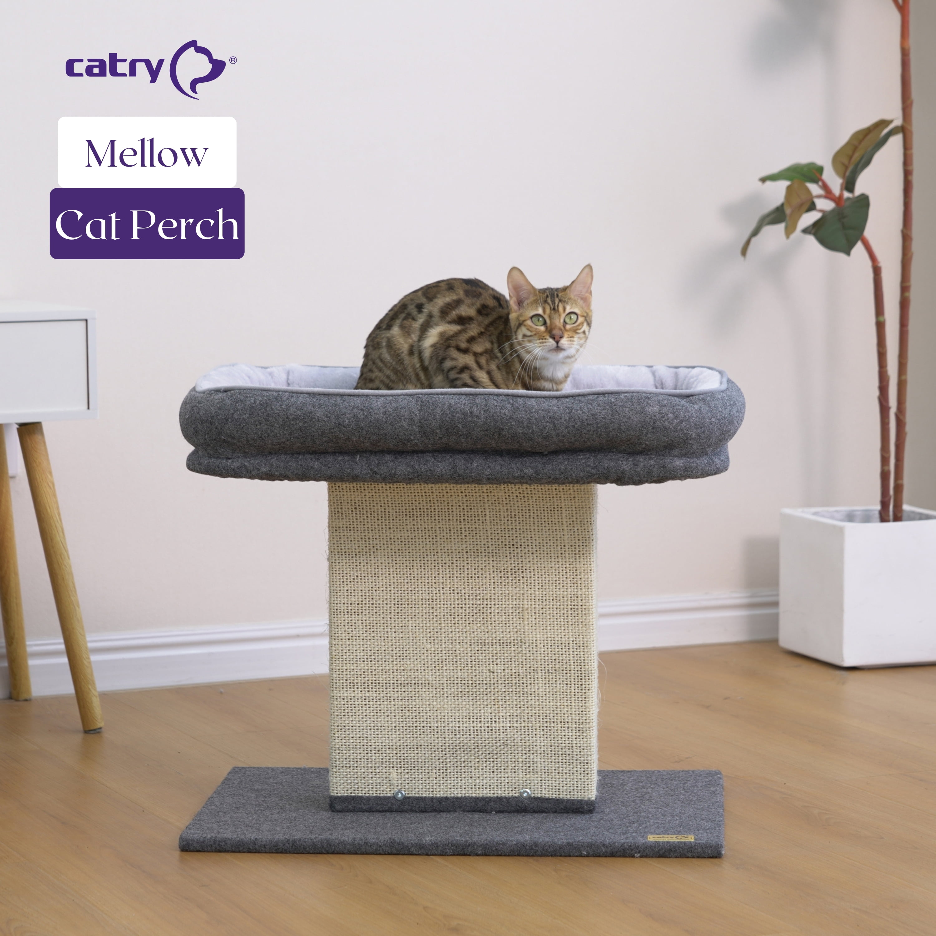 Catry Minimalist Durable Cozy Cat Trees with Soft Felt Sisal Scratching Post, Grey