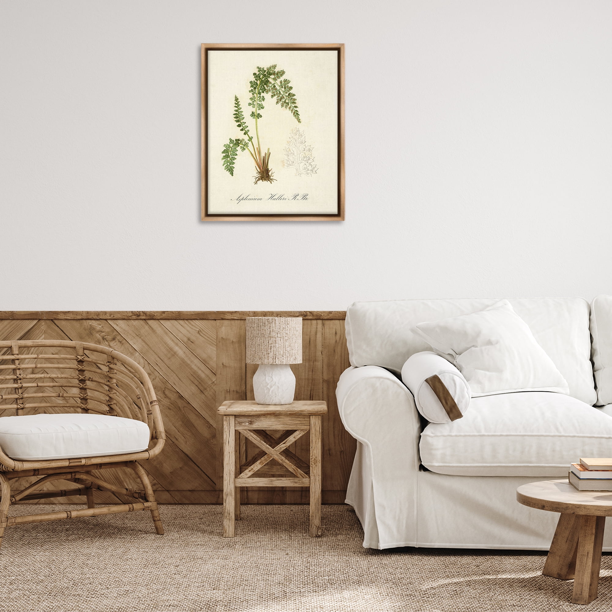 Stupell Industries Scientific Fern Study Plants & Flowers Painting Brown Floater Framed Canvas Art Print Wall Art, 25 x 31