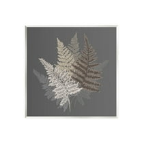 Stupell Industries Botanical Fern Leaves Modern Layered Nature Design Graphic Art Unframed Art Print Wall Art, Design by House of Rose