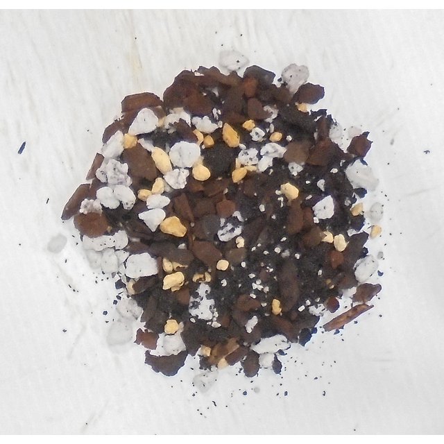 All you need to repot your plant. 3" plastic pot with Dendrobium