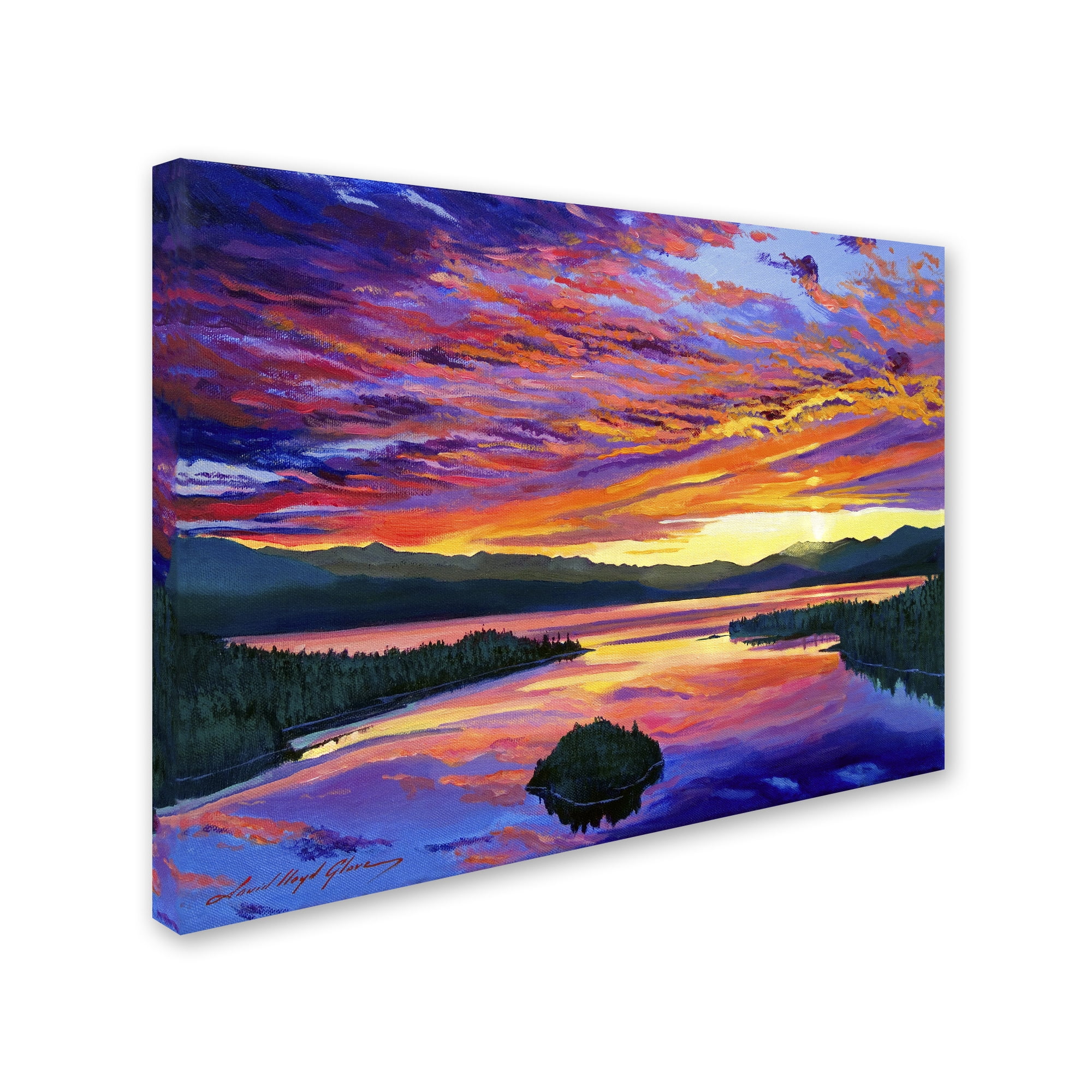 Trademark Art "Paint Brush Sky" Canvas Wall Art by David Lloyd Glover