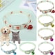 thumbnail image 2 of 1 collar luminoso para perro y gato con campana, ajustable y luminoso, I0N2, 2 of 8