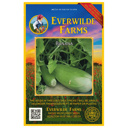 Flowering Banana - Everwilde Farms - 50 Banana Melon Seeds - Gold Vault Jumbo Bulk Seed Packet