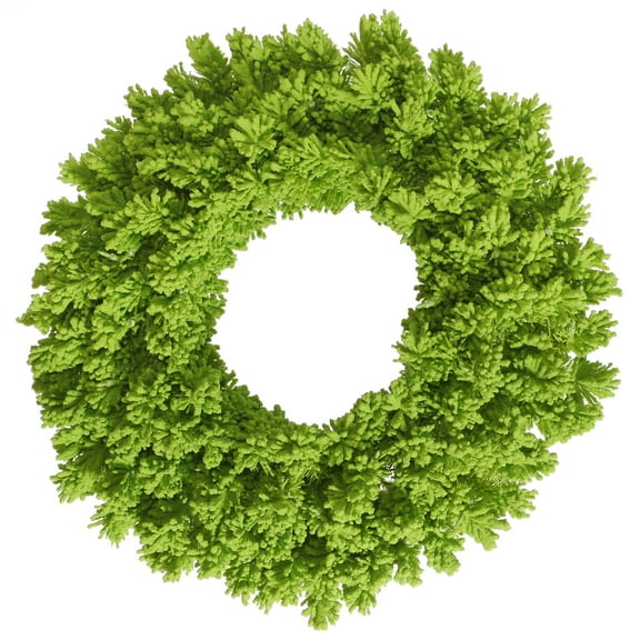 Vickerman 24" Flocked Lime Fir Artificial Christmas Wreath, Unlit