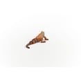 thumbnail image 5 of Schleich Wild Life - Iguana Animal Toy for Boys and Girls - Lizard Figurine - Kids Ages 3+, 5 of 6