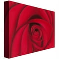 thumbnail image 2 of Trademark Fine Art "Red Rose" Canvas Wall Art by Rio, 2 of 2