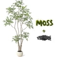 thumbnail image 4 of Artificial Plants Indoor,7 ft Tall Faux Floor Plant in Pot, Nandina Artificial Tree with White Planter for Home Decor Office Living Room, 4 of 9