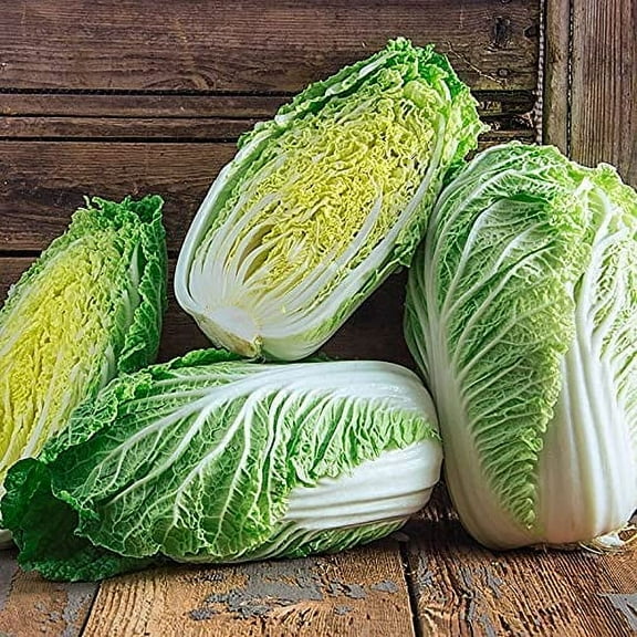 Napa Michihili Heading Cabbage 200 Seeds, Heirloom, Non GMO Seed Tasty Healthy Veggie
