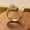 C, variant on Copper Gold-Plated Leopard Head Open Ring with Micro-Pave Zirconia - Fashion Hip Hop Unisex Statement Jewelry