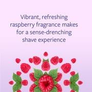 Skintimate Raspberry Rain Shave Gel for Women, Travel Shaving Cream, 2.75 oz