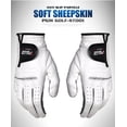 thumbnail image 1 of Golf Men's Premium Synthetic Golf Gloves, 1 of 5