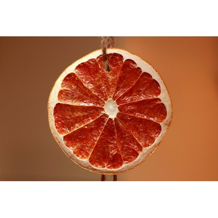Canvas Print Oranges Orange Dried Fruits Cross Section Slice Stretched Canvas 32 x (Best Way To Dry Orange Slices)