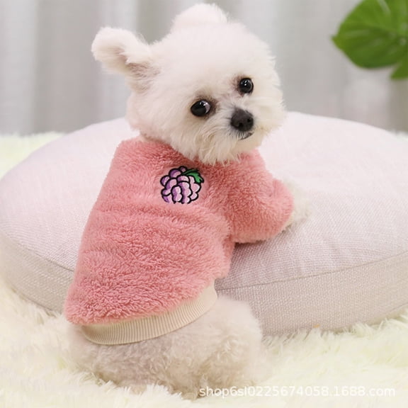 FeiFu Winter Pet Hoodie with Ears Fleece Lined Warm Dog Sweatshirt Soft Comfortable Cold Weather Clothes for Puppy Kitten Outdoor Walking