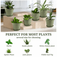 thumbnail image 4 of FIASON 6 Pack 12 Inch Sage Celadon Green Plastic Planters with Drainage Holes and Saucers, Embossed Flower Plant Pots Large Outdoor Planters for Patio Garden, 4 of 8