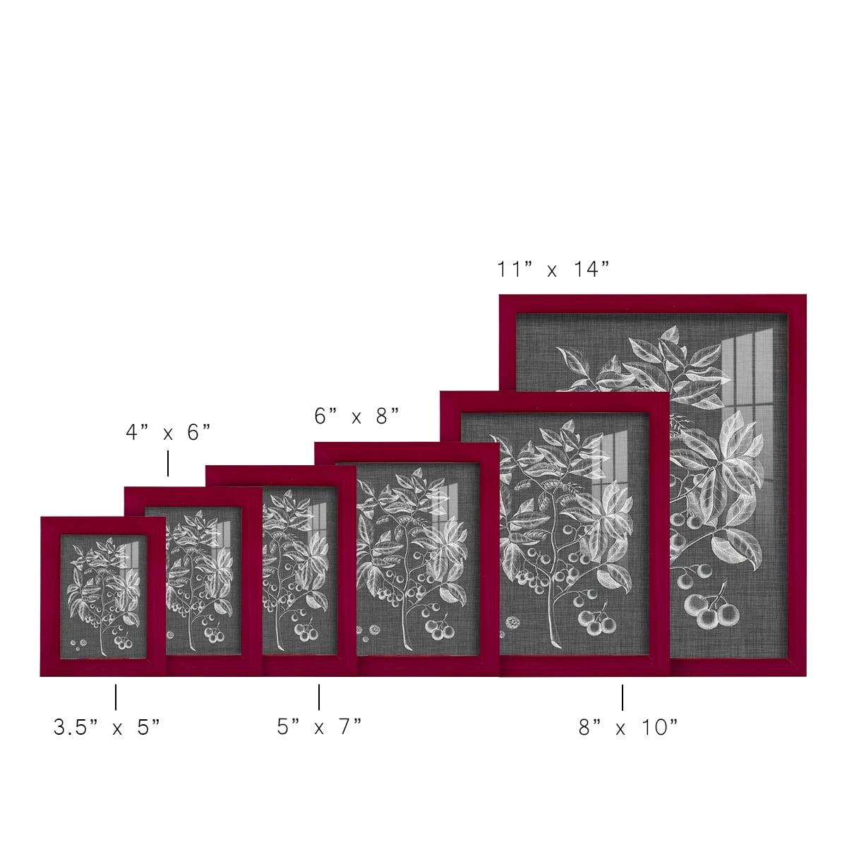 Graphic Foliage VI - Framed Print w/glass - Cherry Red