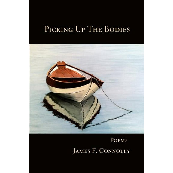 Picking Up The Bodies  Paperback  James F. Connolly