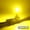 Gold, variant on MAXGTRS 2x H27W H27 881 880 LED Fog Lights Canbus H27W/1 H27W/2 Bulb Car Driving Lamp DRL 12V