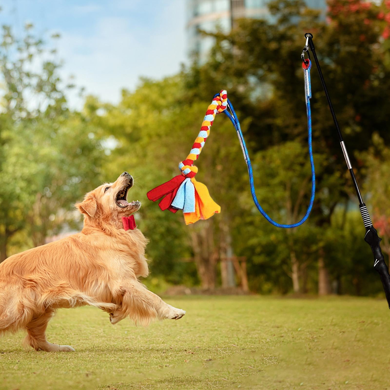 Pole for Dogs for Small Medium Dogs Interactive Dog Toys Dog Chase Toy Tug