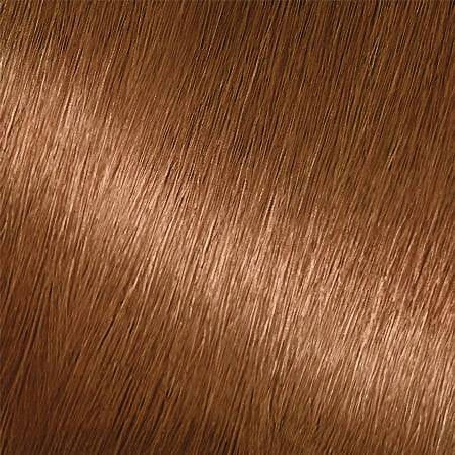 Garnier Nutrisse Nourishing Color Creme, Light Natural Brown [60], 1 Each, 2 Pack