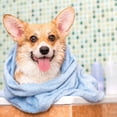 thumbnail image 5 of Bio-Groom Natural Oatmeal Anti-Itch Dog Shampoo & Conditioner  Set – Soothing Pet Wash & Creme Rinse – 12 oz Each | MerlinsMart Zine + Rope Toy, 5 of 9