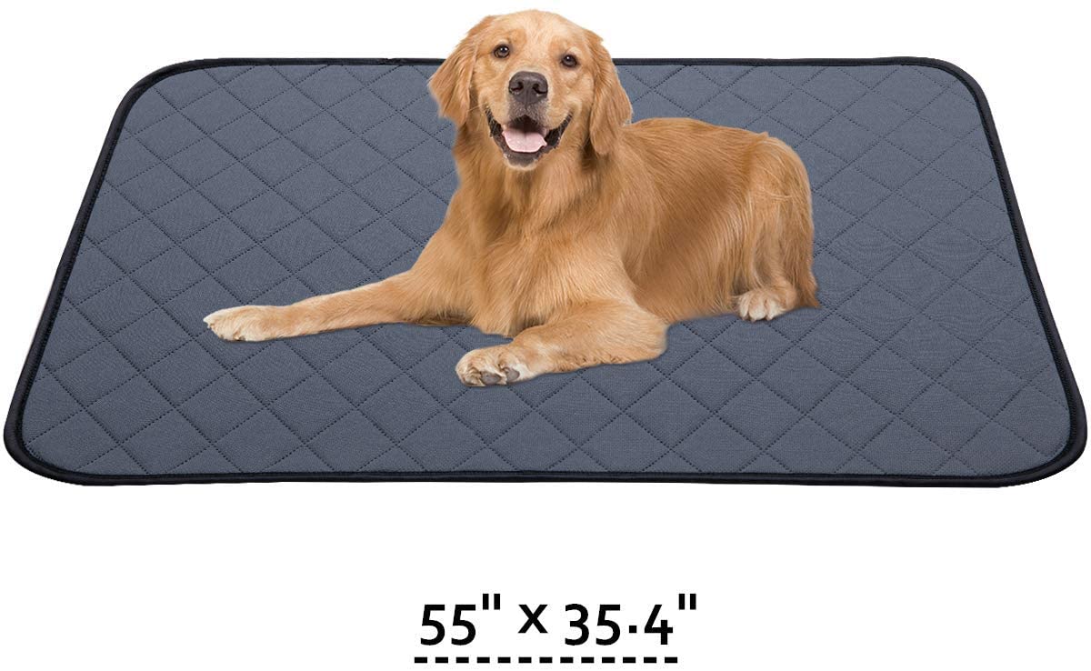 large whelping pads