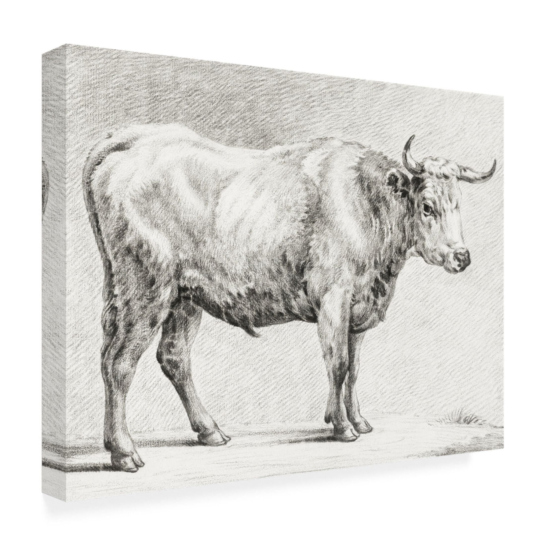 Trademark Fine Art Jean Bernard  Bernard's Bull Renderings IV Canvas Wall Art
