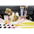 thumbnail image 5 of 5 FT Strong Dog Leash with Comfortable Padded Handle and Highly Reflective Threads Dog Leashes for Small Medium and Large Dogs (Small, 5FT, PINK), 5 of 5