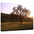 thumbnail image 2 of Kathy Yates "Golden Hour" Gallery-Wrapped Canvas, 2 of 2