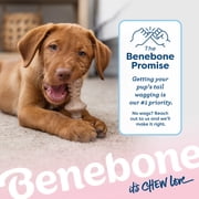 Benebone Puppy 2-Pack Maplestick/Zaggler Durable Dog Chew Toys for Gentle Chewers, Real Bacon, Real Maplewood, Tiny