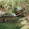 View all media