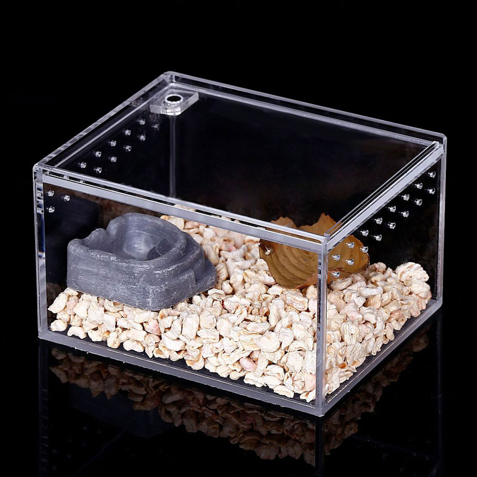 Reptile Box Feeding Small Pet Horned Spider Lizards Snail Snake Clear Designed Box Silkworms Snake House