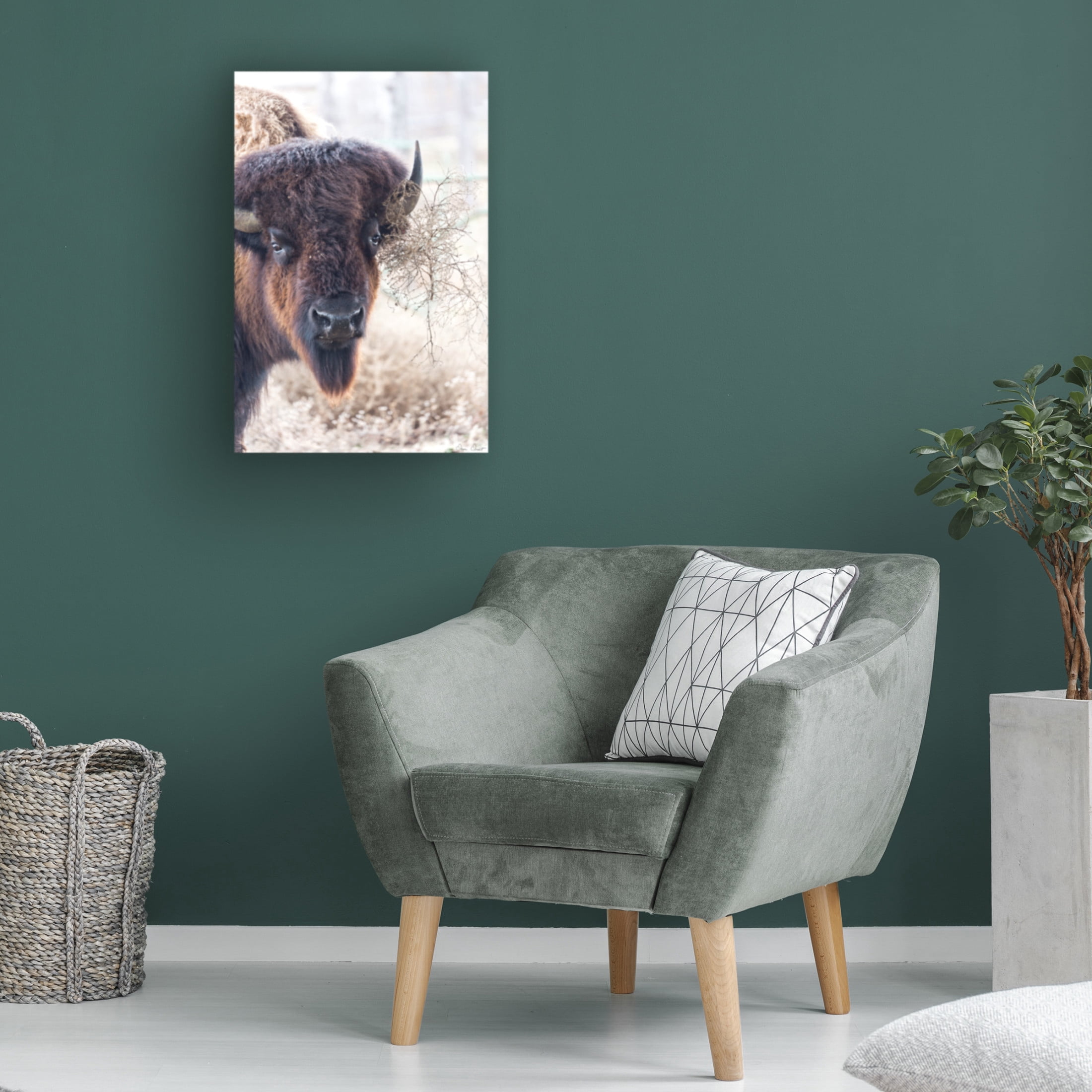 Trademark Fine Art David Drost Standing Buffalo I Canvas Wall Art