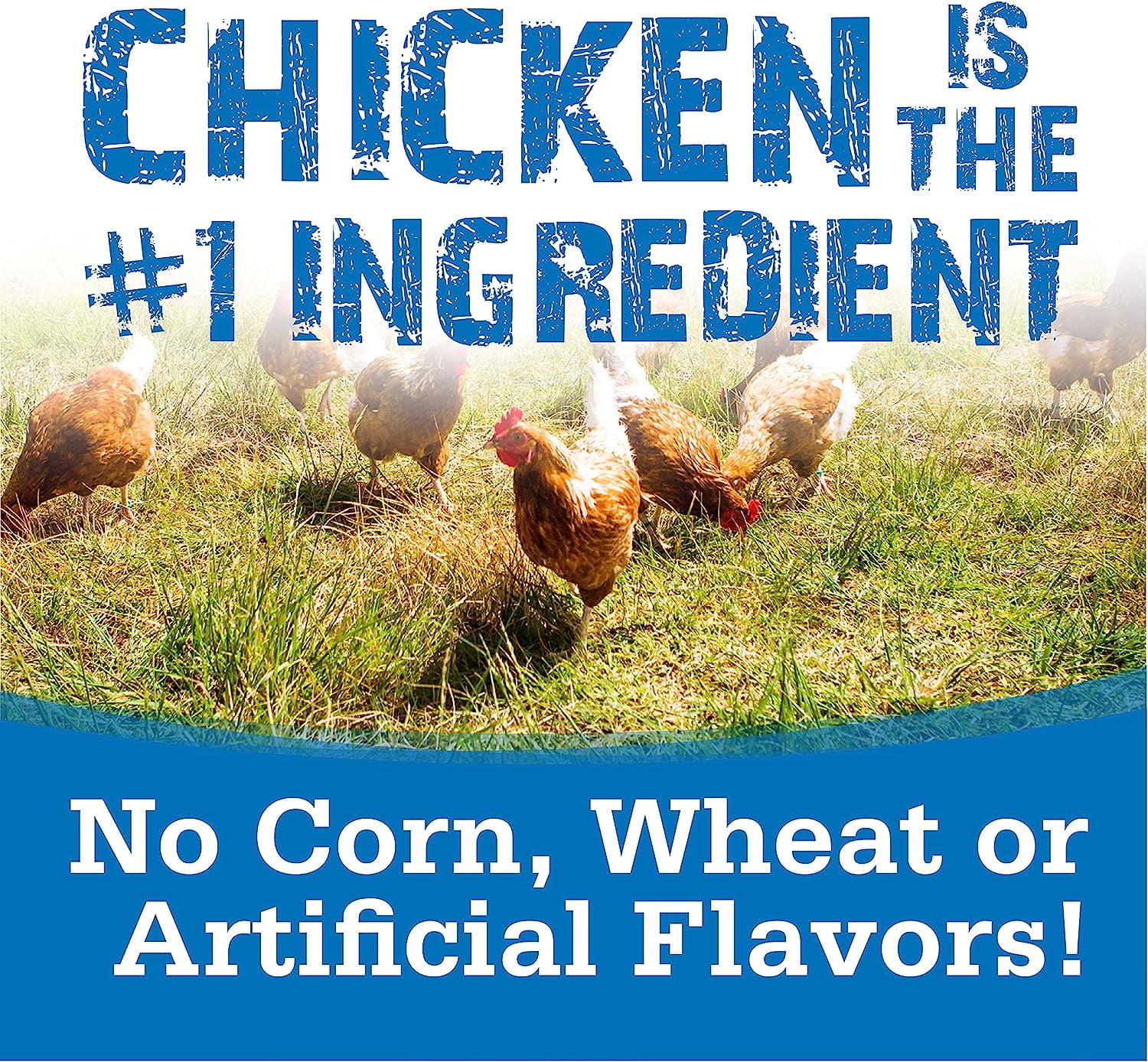Nutri Source TU80020 14 oz Soft & Tender Chicken Treats for Dogs