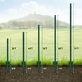 thumbnail image 3 of AOILE 3/4/5 Feet Metal Fence Posts, Pack U-Shaped Steel Stakes, No Dig U Channel Wire Fencing Post for Lawn, Garden, Yard, Farm and Outdoor, Rust-Proof & Weather-Resistant, Heavy Duty, Green, 3 of 7