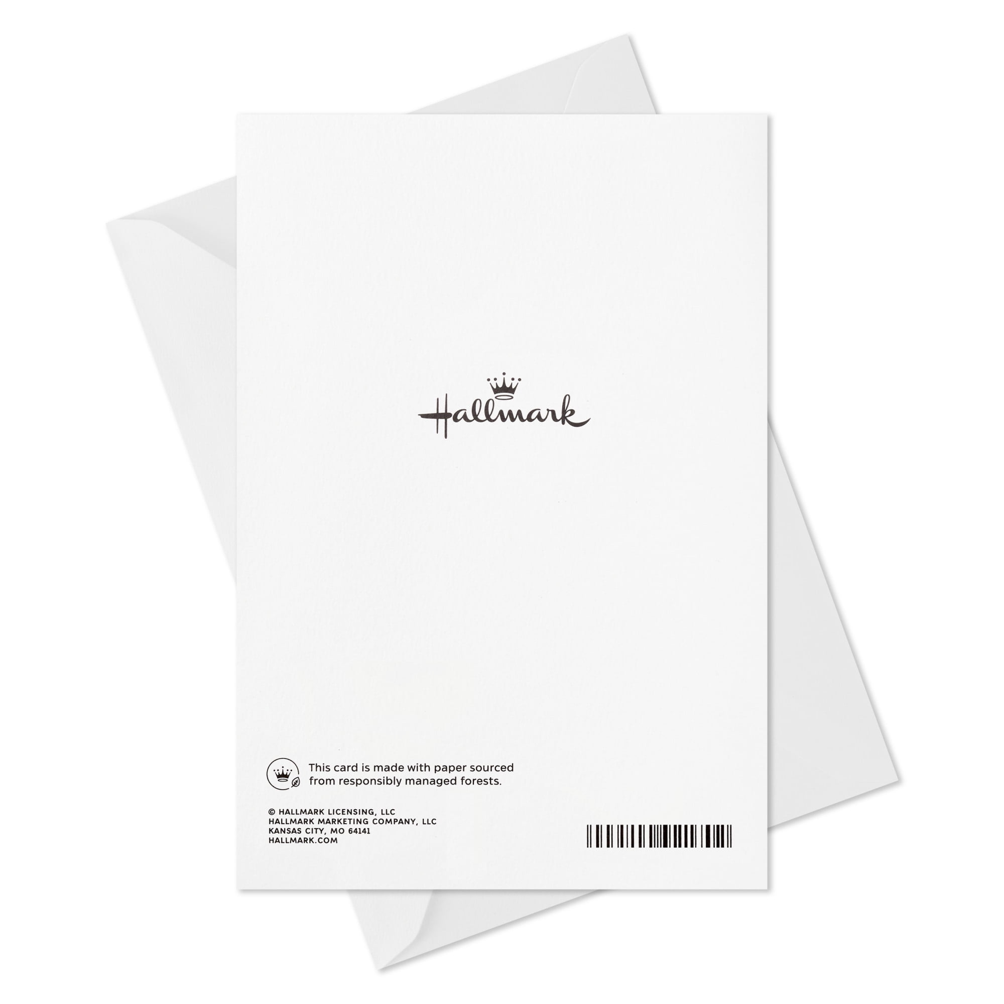 Hallmark Thank-You Card (Simple Phrase With World of Meaning)