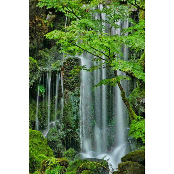 Marmont Hill "Silky Falls" Painting Print on Canvas