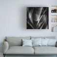 thumbnail image 2 of Trademark Fine Art Simon JG Ciappara Shadows a edges ab Canvas Wall Art, 2 of 4